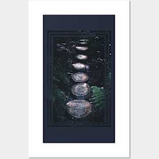 Tree stump path in the forest Posters and Art